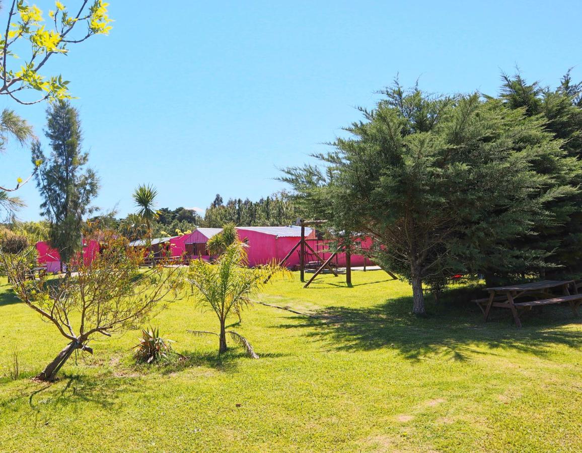 Casa De Campo Lo De Fatsia Colonia del Sacramento Exteriör bild