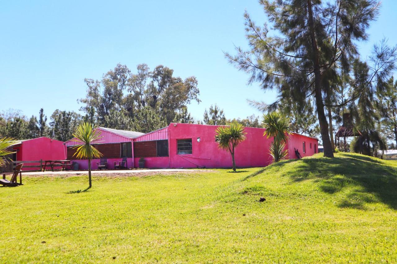 Casa De Campo Lo De Fatsia Colonia del Sacramento Exteriör bild