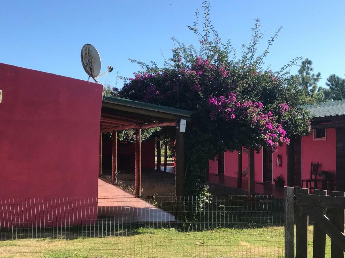 Casa De Campo Lo De Fatsia Colonia del Sacramento Exteriör bild